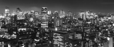 Fotobehang Zwart-wit skyline van Tokio