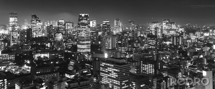 Fotobehang Zwart-wit skyline van Tokio