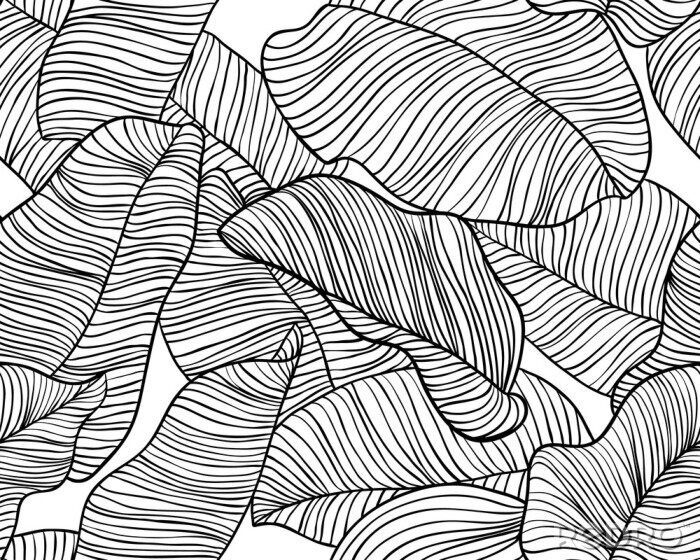 Fotobehang Zwart-wit tekening met bladeren van een tropische plant