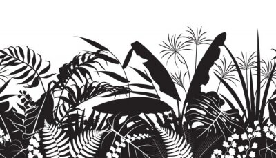 Zwart-wit tropische bladeren tekenen