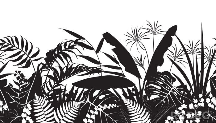Fotobehang Zwart-wit tropische bladeren tekenen