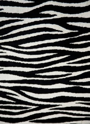 Fotobehang Zwart-wit zebra ontwerp