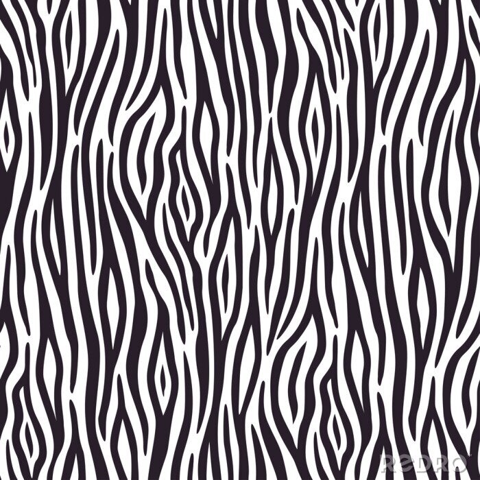 Fotobehang Zwart-wit zebrahaar patroon