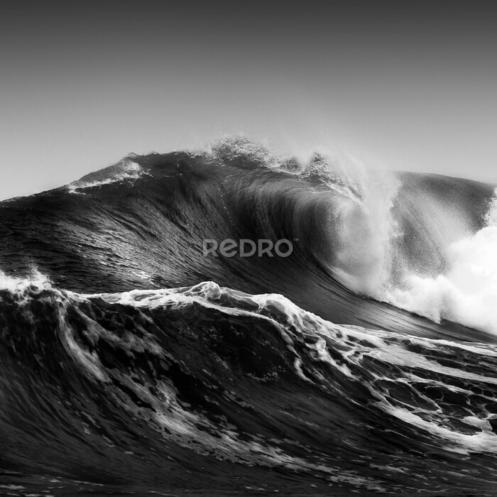 Fotobehang Zwart-witfoto van een golf