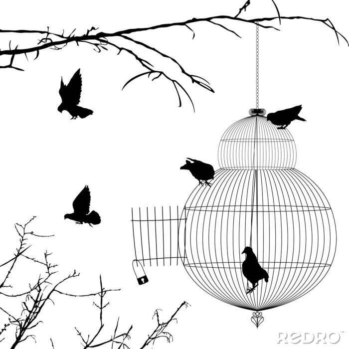 Fotobehang Zwart-witte afbeelding van vogels bij de kooi