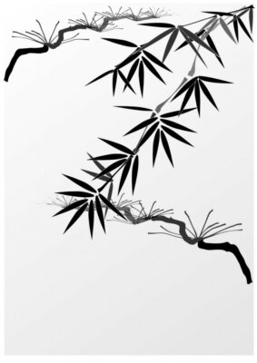 Fotobehang Zwart-witte bamboebladeren