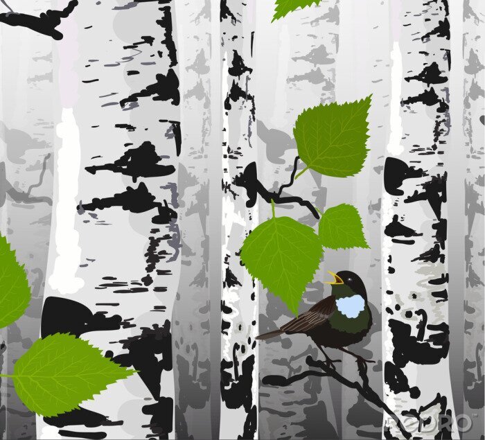 Fotobehang Zwart-witte berken en een vogel