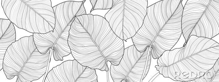 Fotobehang Zwart-witte bladeren in een minimalistische esthetiek