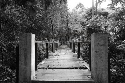 Fotobehang Zwart-witte brug in de jungle
