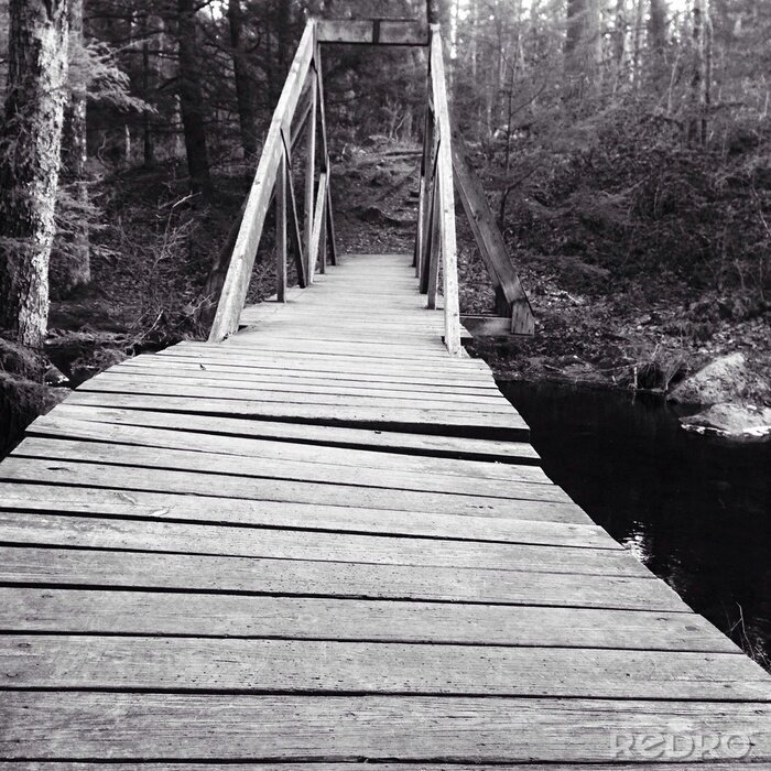 Fotobehang Zwart-witte brug in een bos