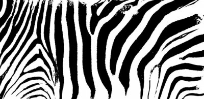 Fotobehang Zwart-witte dieren textuur