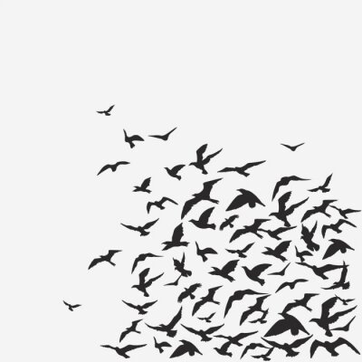 Fotobehang Zwart-witte vogels