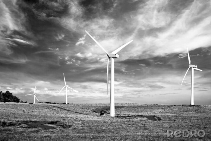 Fotobehang Zwart-witte windmolens