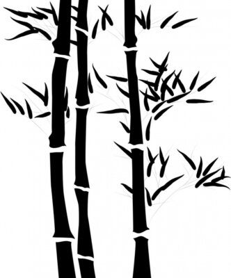 Fotobehang Zwarte bamboe op witte achtergrond