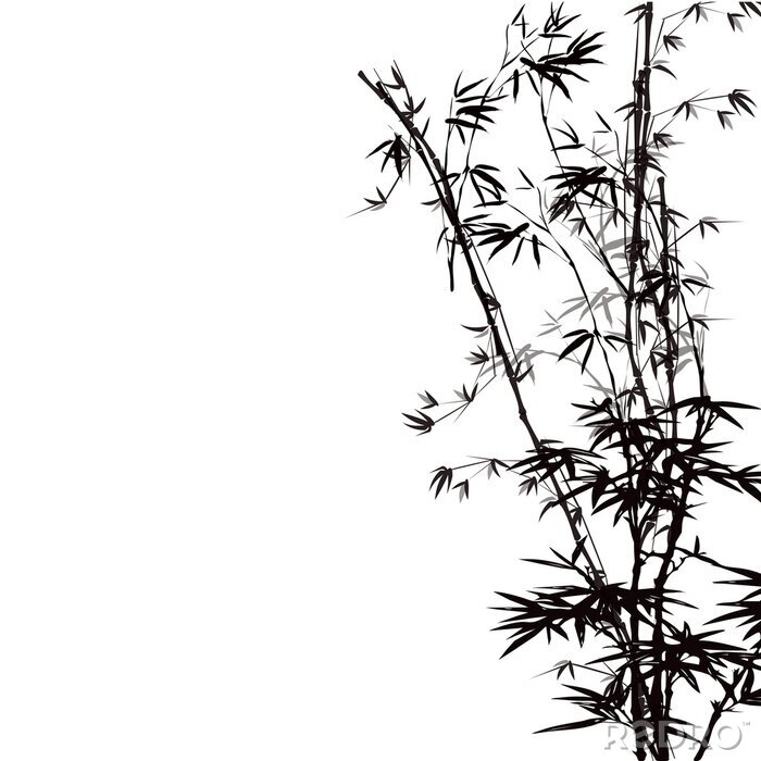 Fotobehang Zwarte bamboetwijgen