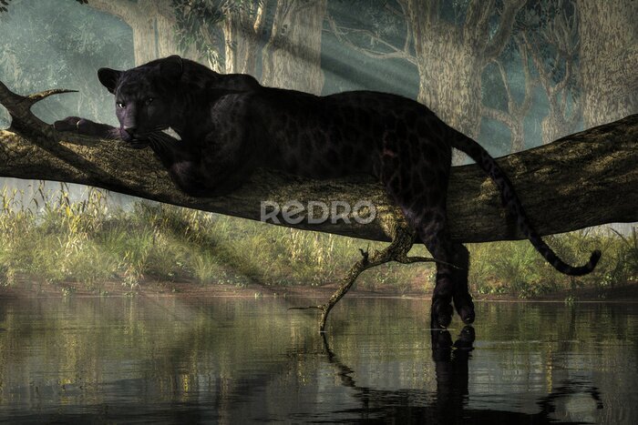 Fotobehang Zwarte panter in de jungle