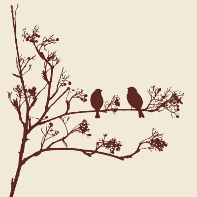 Fotobehang Zwarte silhouetten van vogels op de boom