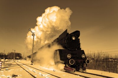 Fotobehang Zwarte trein en winterlandschap