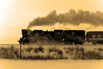Fotobehang Zwarte trein op een winterdag