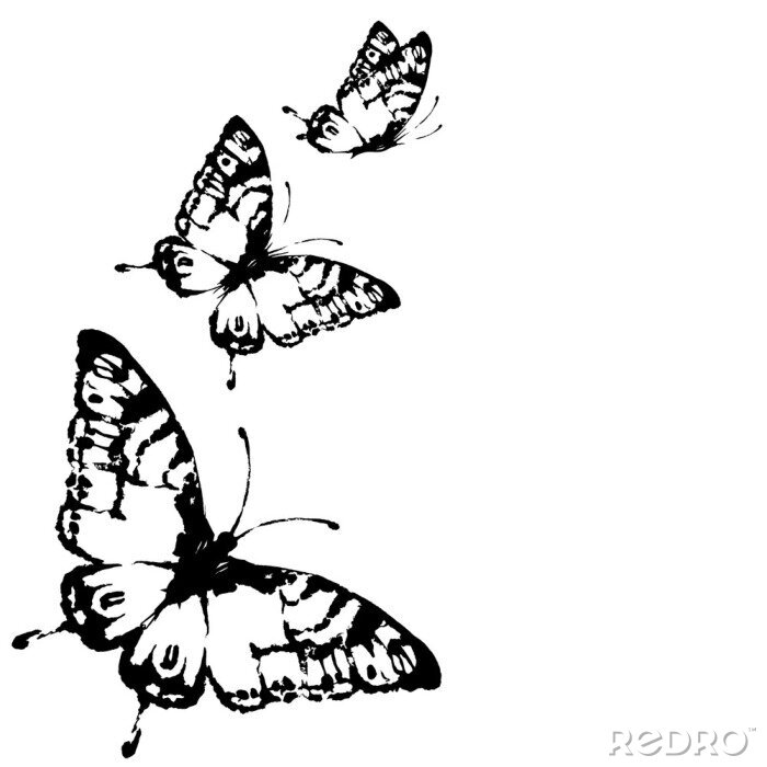 Fotobehang Zwarte vlinders op witte achtergrond