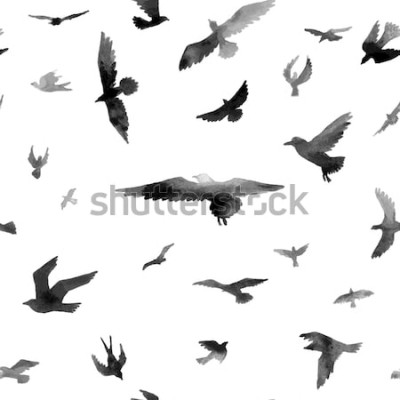 Fotobehang Zwarte vogels op witte achtergrond