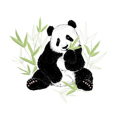 Panda Panda beer eet bamboe bladeren