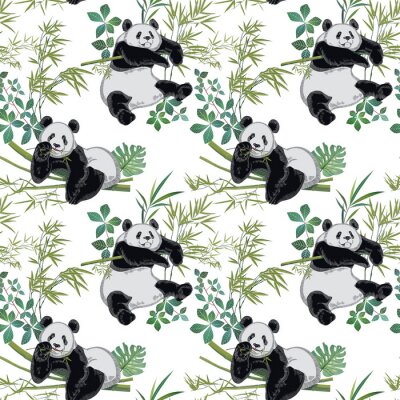 Panda Panda  beren op groene takken