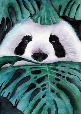 Panda Waterverf panda in monstera bladeren