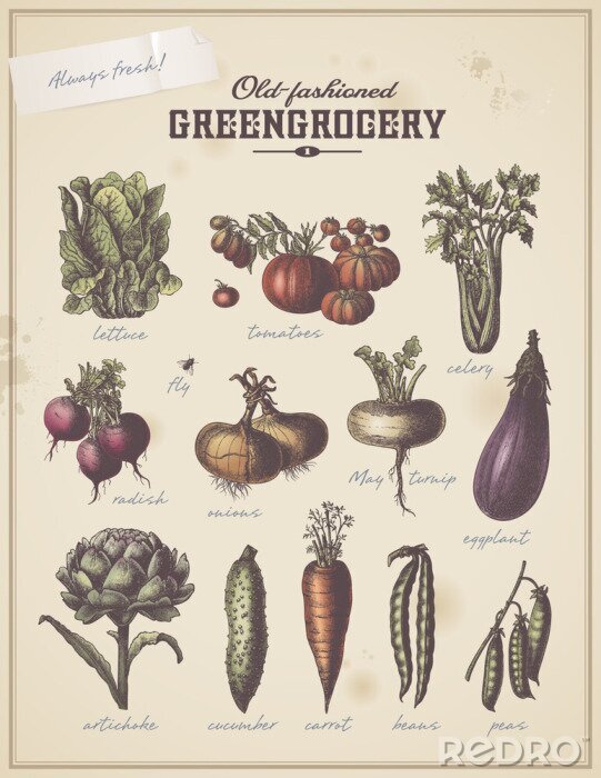 Poster aanplakbiljet vintage groentewinkel met verschillende groenten