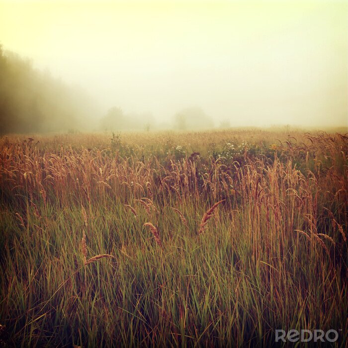 Poster achtergrond-18