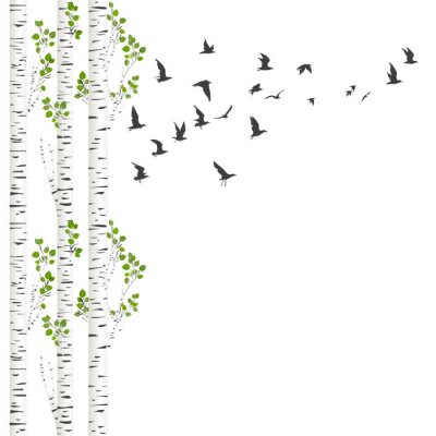 Poster Achtergrond met berkenbomen en vogels