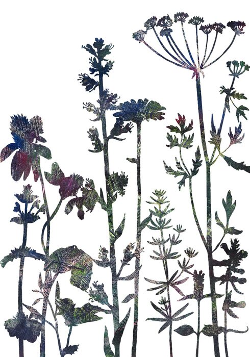 Poster Achtergrond met tekeningskruiden en bloemen