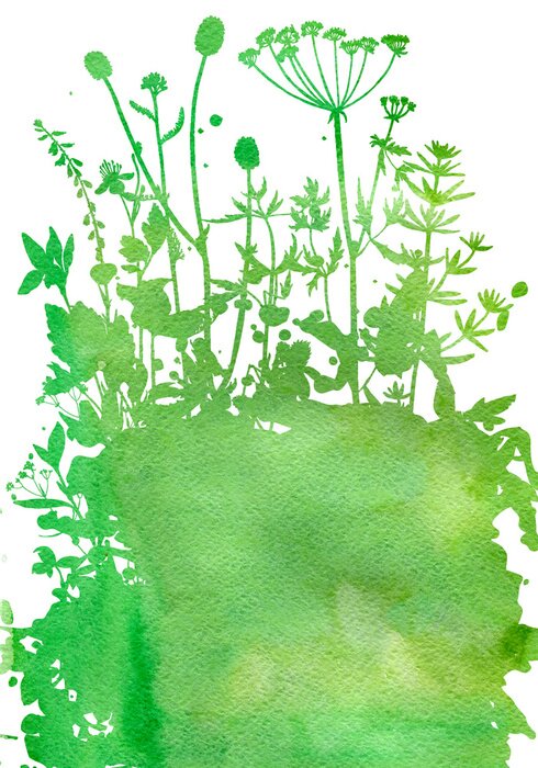 Poster Achtergrond met tekeningskruiden en bloemen