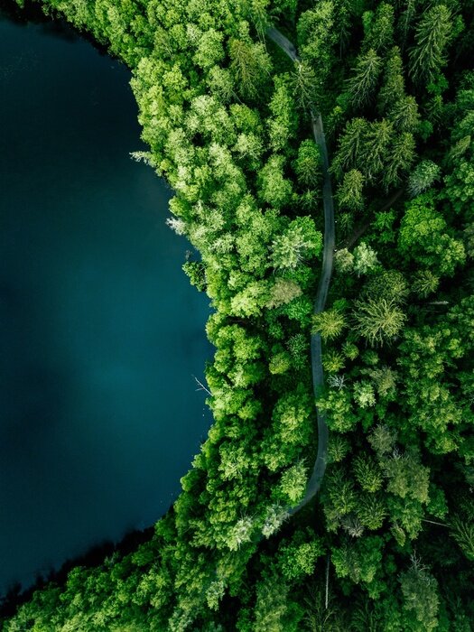 Poster Aerial top view of country road in green summer forest and blue lake. Rural landscape in Finland.