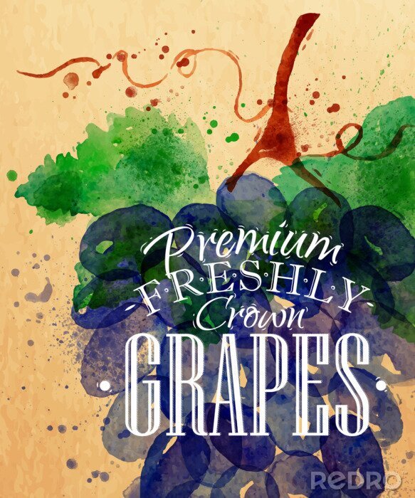 Poster Affiche druiven