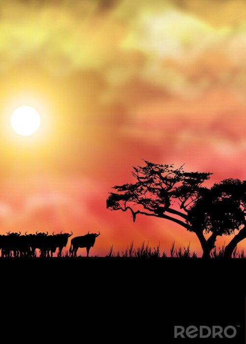 Poster Afrikaans landschap met savanne