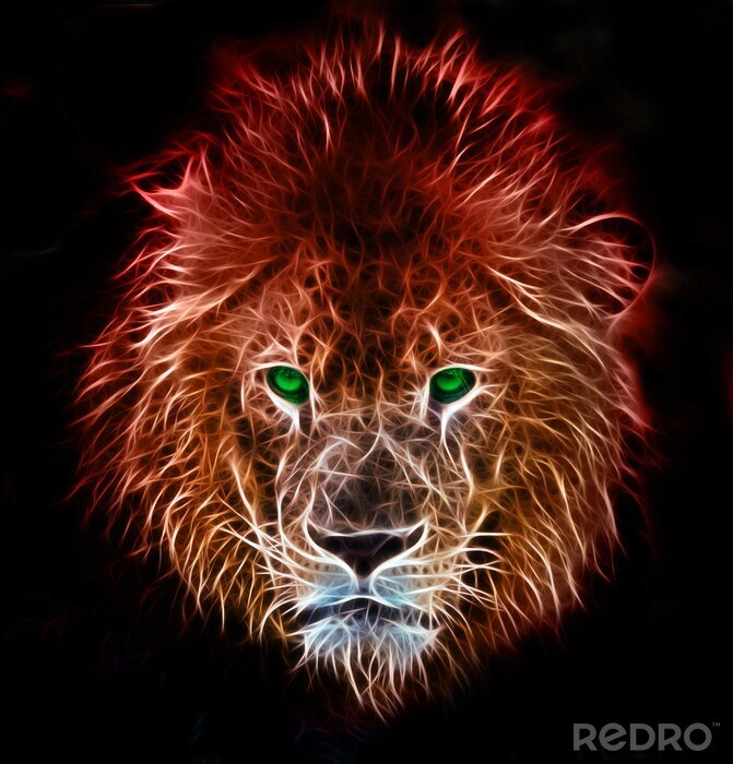 Poster Afrikaanse leeuw op een zwarte achtergrond