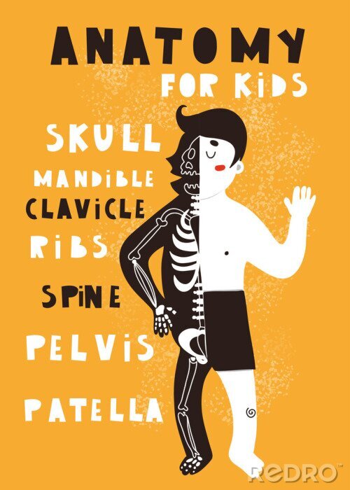 Poster Anatomie voor kinderen. Hand getrokken vectorillustratie