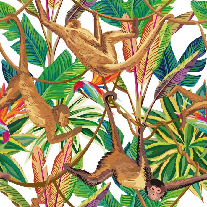 Poster Apen op de achtergrond van de jungle