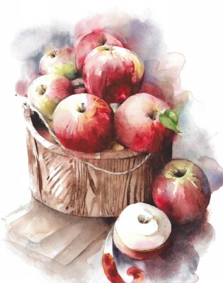 Poster Appelen rode vruchten in een mand waterverf het schilderen illustratie die op witte achtergrond wordt geïsoleerd