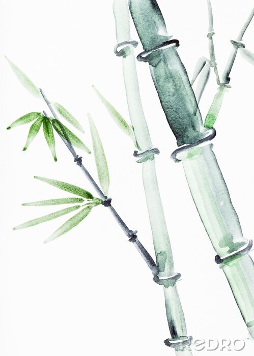 Poster Aquarel bamboe met schaduw