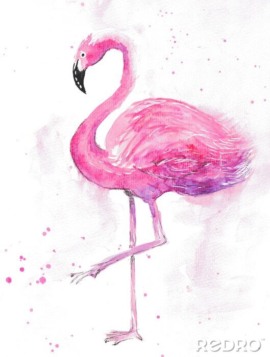 Poster Aquarel flamingo op een lichte achtergrond