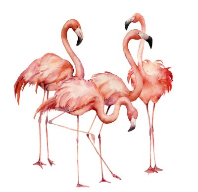 Poster Aquarel flamingo's in een kudde