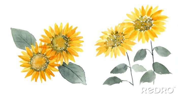 Poster Aquarel geeloranje zonnebloemen