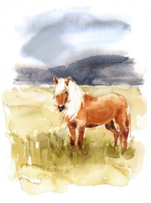 Poster Aquarel IJslands paard