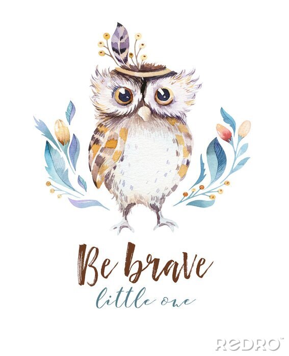 Poster Aquarel kleurrijke uil