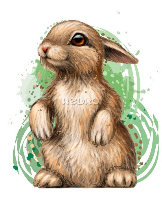 Poster Aquarel konijntje op groene achtergrond