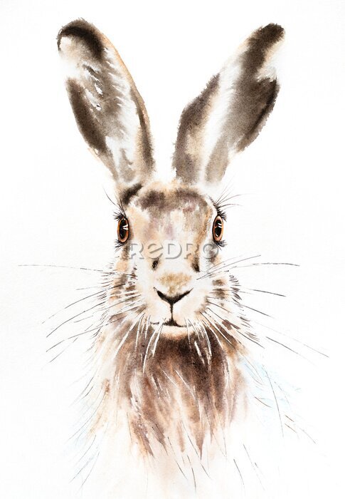 Poster Aquarel konijntje op witte achtergrond