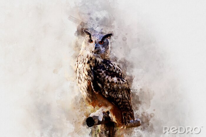 Poster Aquarel mooie uil