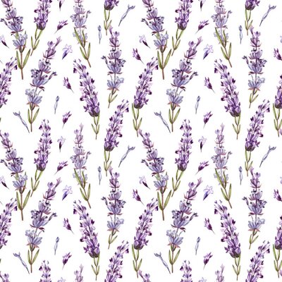 Aquarel patroon met lavendel. Hand schilderij. Waterverf.